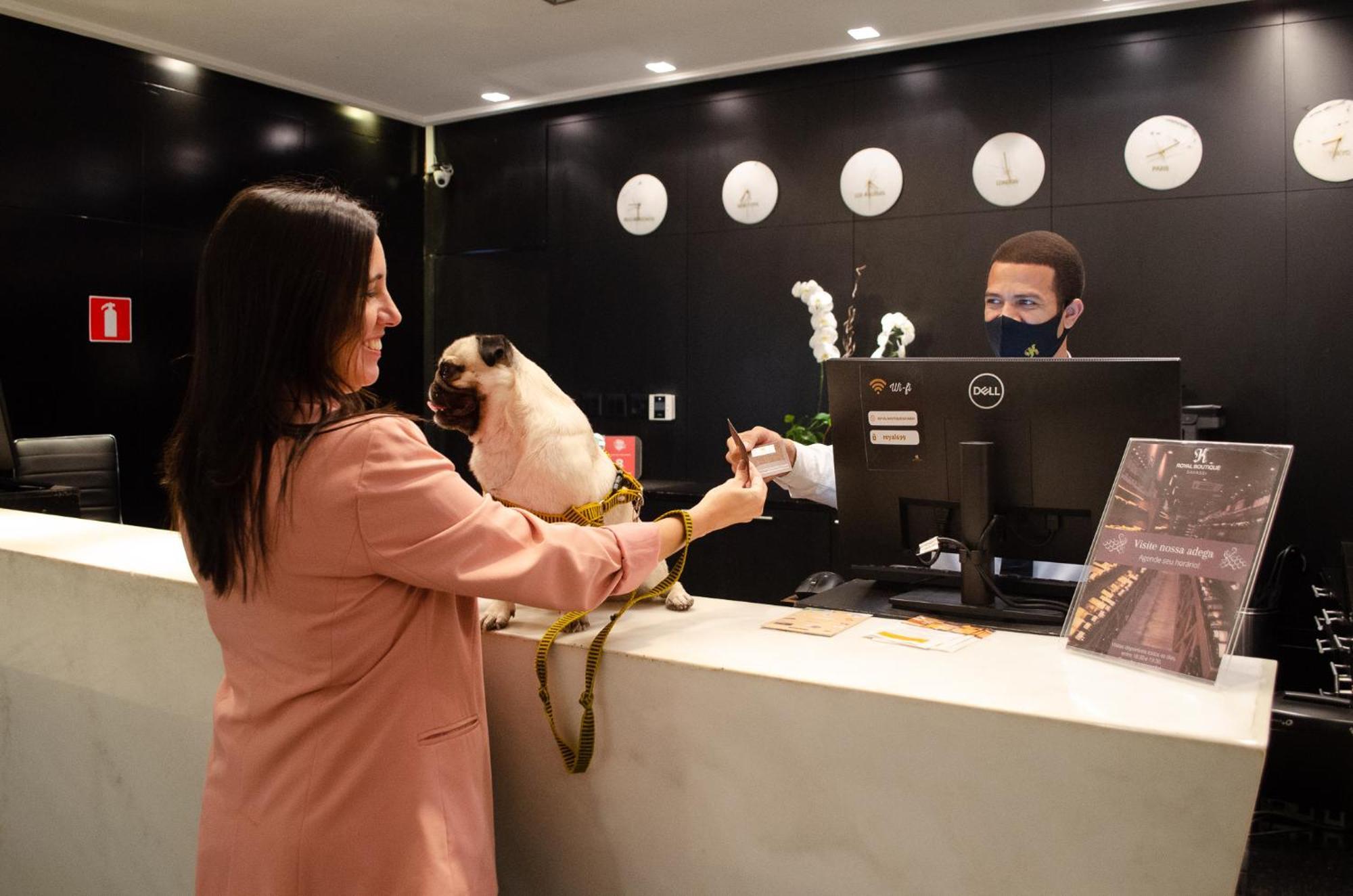 Royal Boutique Savassi Hotel Belo Horizonte Kültér fotó A woman checking in at a hotel with her dog